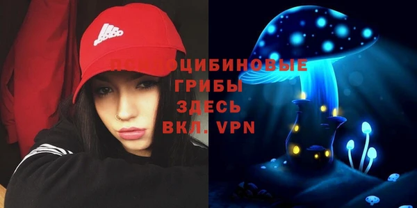меф Медногорск