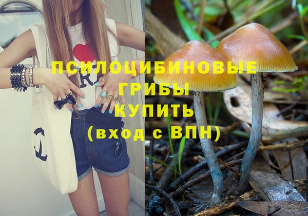 гашик Медвежьегорск