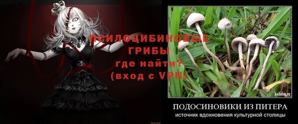 меф Медногорск