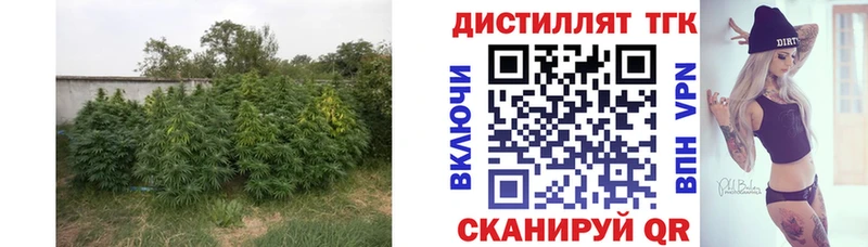 Купить  Зарайск  ТГК THC oil 